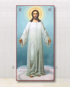 Икона «Господь грядущий» Лесосибирск